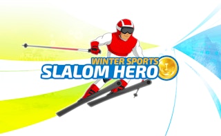 Image Slalom Hero
